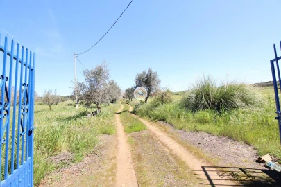 Quinta T3 para Venda em Terrugem e Vila Boim