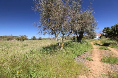 Quinta T3 para Venda em Terrugem e Vila Boim