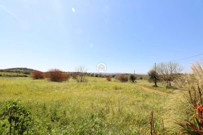 Quinta T3 para Venda em Terrugem e Vila Boim