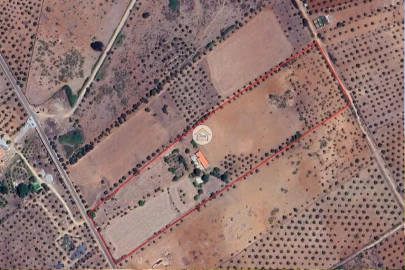 Quinta T3 para Venda em Terrugem e Vila Boim