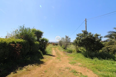 Quinta T3 para Venda em Terrugem e Vila Boim
