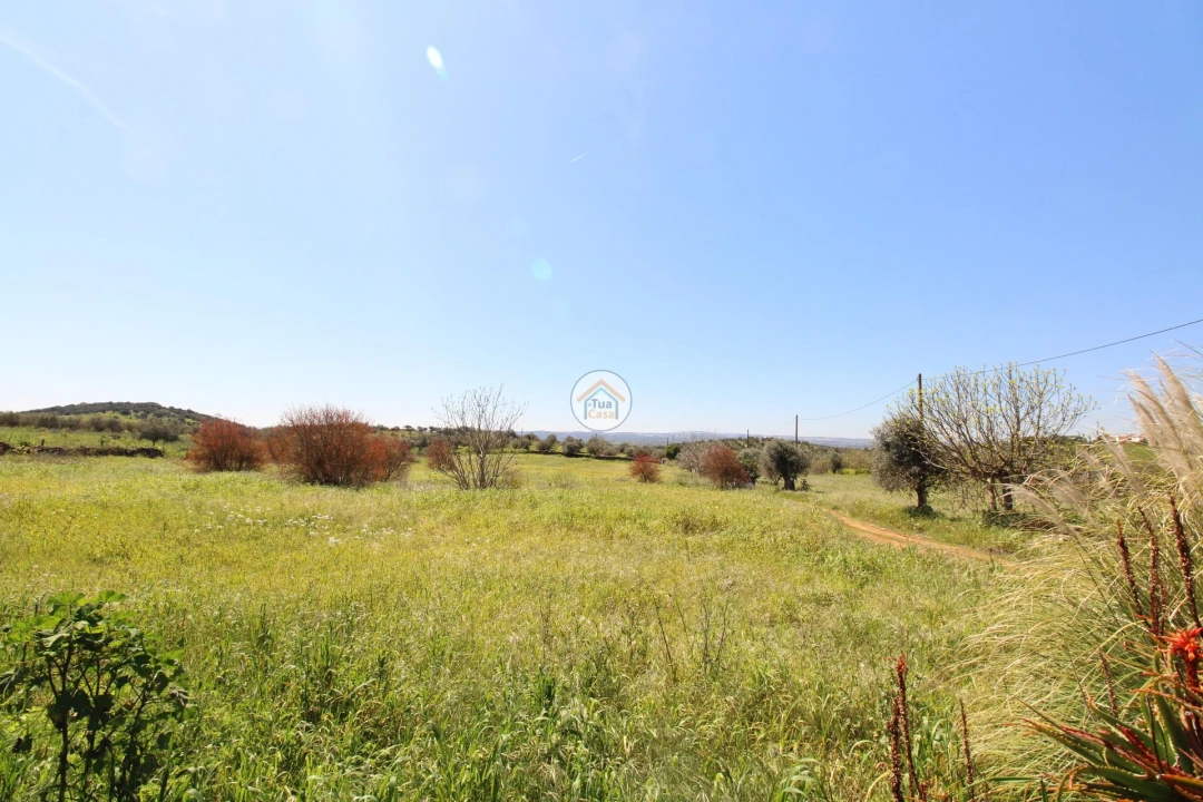 Quinta T3 para Venda em Terrugem e Vila Boim Foto 34