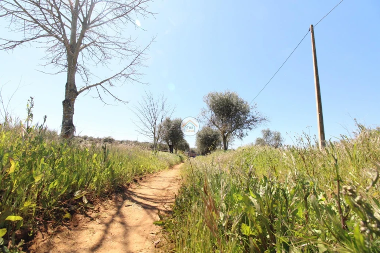 Quinta T3 para Venda em Terrugem e Vila Boim Foto 45