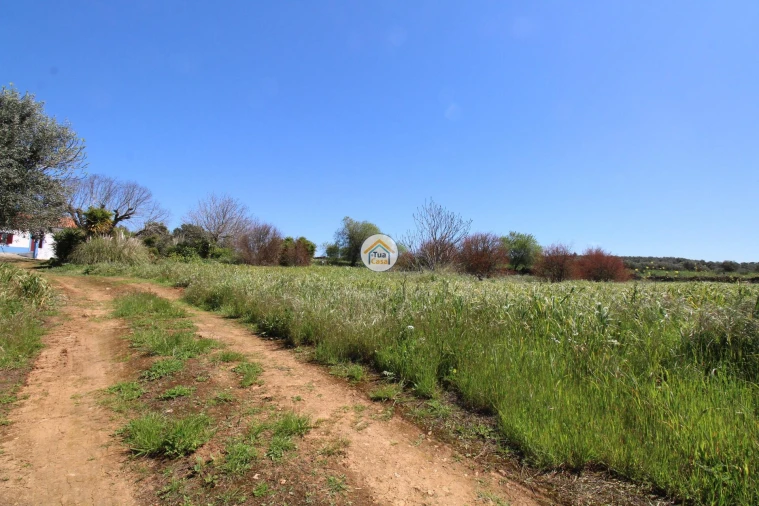 Quinta T3 para Venda em Terrugem e Vila Boim Foto 39