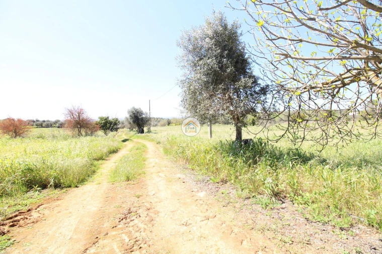 Quinta T3 para Venda em Terrugem e Vila Boim Foto 41