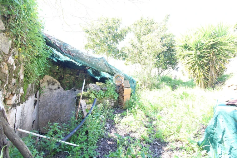 Quinta T3 para Venda em Terrugem e Vila Boim Foto 31