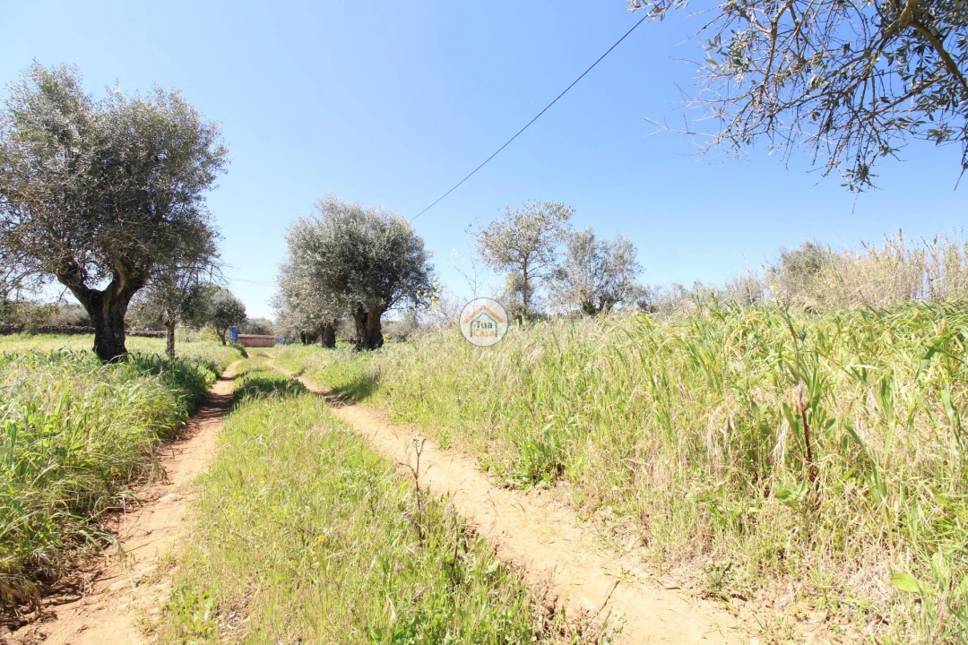 Quinta T3 para Venda em Terrugem e Vila Boim Foto 42