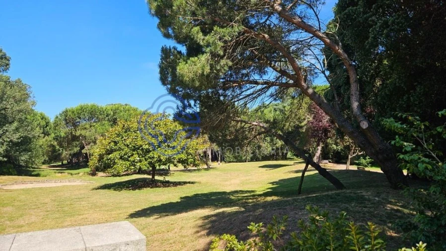 Apartamento T2 para Venda em Aldoar, Foz do Douro e Nevogilde Foto 6