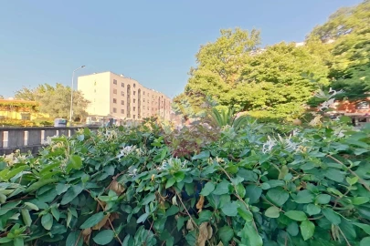Loja para Trespasse em Lumiar