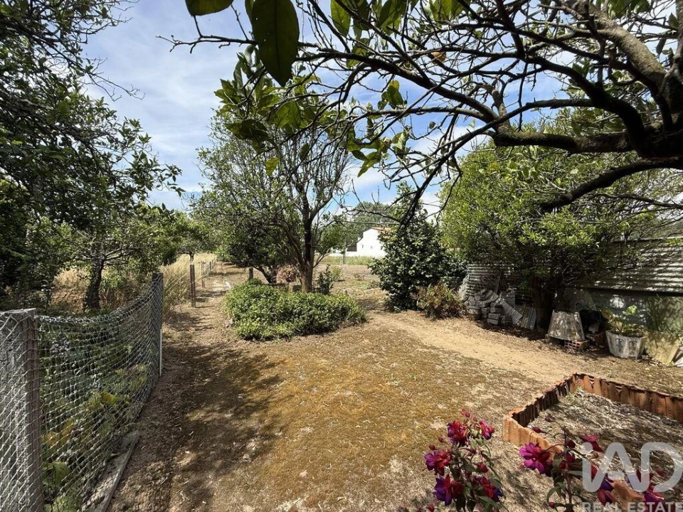 Moradia T4 para Venda em Glória e Vera Cruz Foto 6