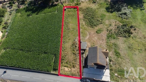 Terreno para Venda em Pardilho
