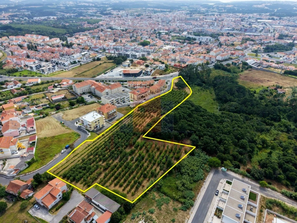 Terreno para Venda em Nossa Senhora do Pópulo, Coto e São Gregório Foto 1