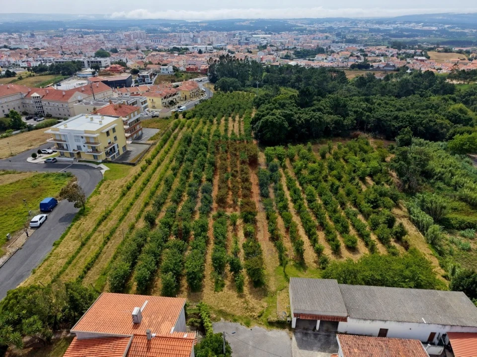 Terreno para Venda em Nossa Senhora do Pópulo, Coto e São Gregório Foto 6