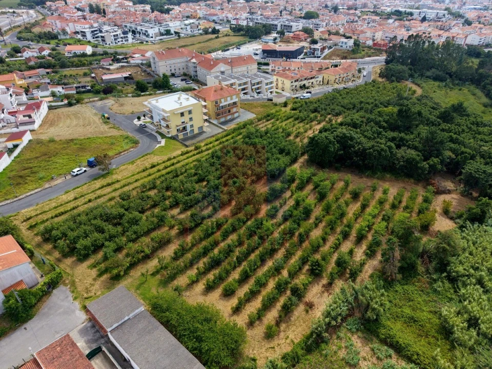 Terreno para Venda em Nossa Senhora do Pópulo, Coto e São Gregório Foto 7