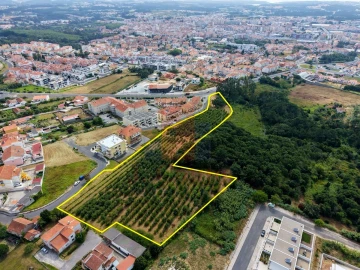 Terreno para Venda em Nossa Senhora do Pópulo, Coto e São Gregório