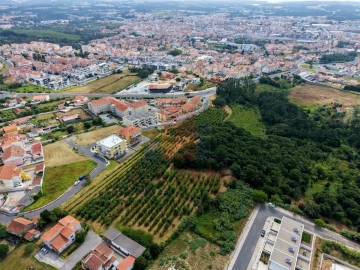 Terreno para Venda em Nossa Senhora do Pópulo, Coto e São Gregório