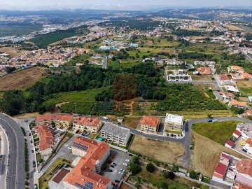 Terreno para Venda em Nossa Senhora do Pópulo, Coto e São Gregório