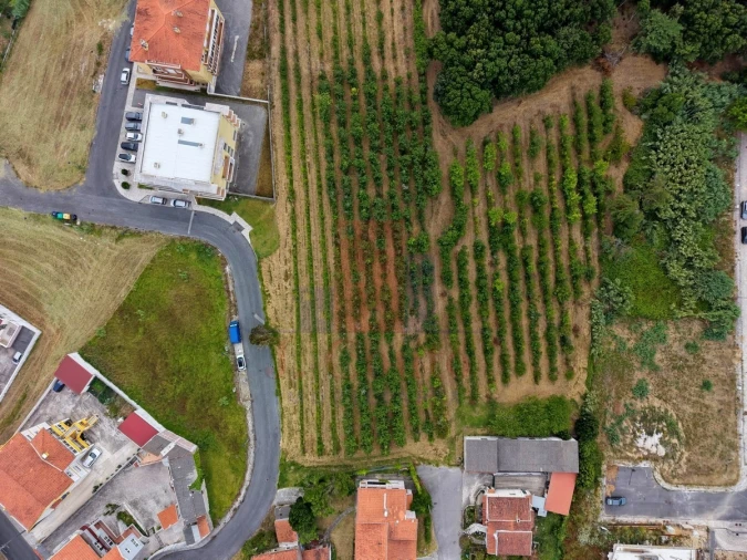 Terreno para Venda em Nossa Senhora do Pópulo, Coto e São Gregório Foto 3