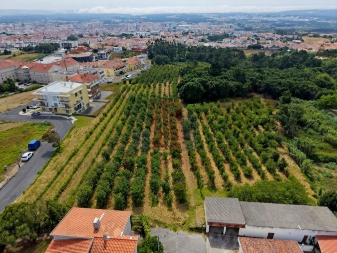 Terreno para Venda em Nossa Senhora do Pópulo, Coto e São Gregório Foto 6