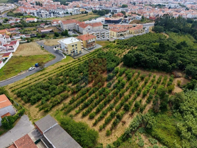 Terreno para Venda em Nossa Senhora do Pópulo, Coto e São Gregório Foto 7