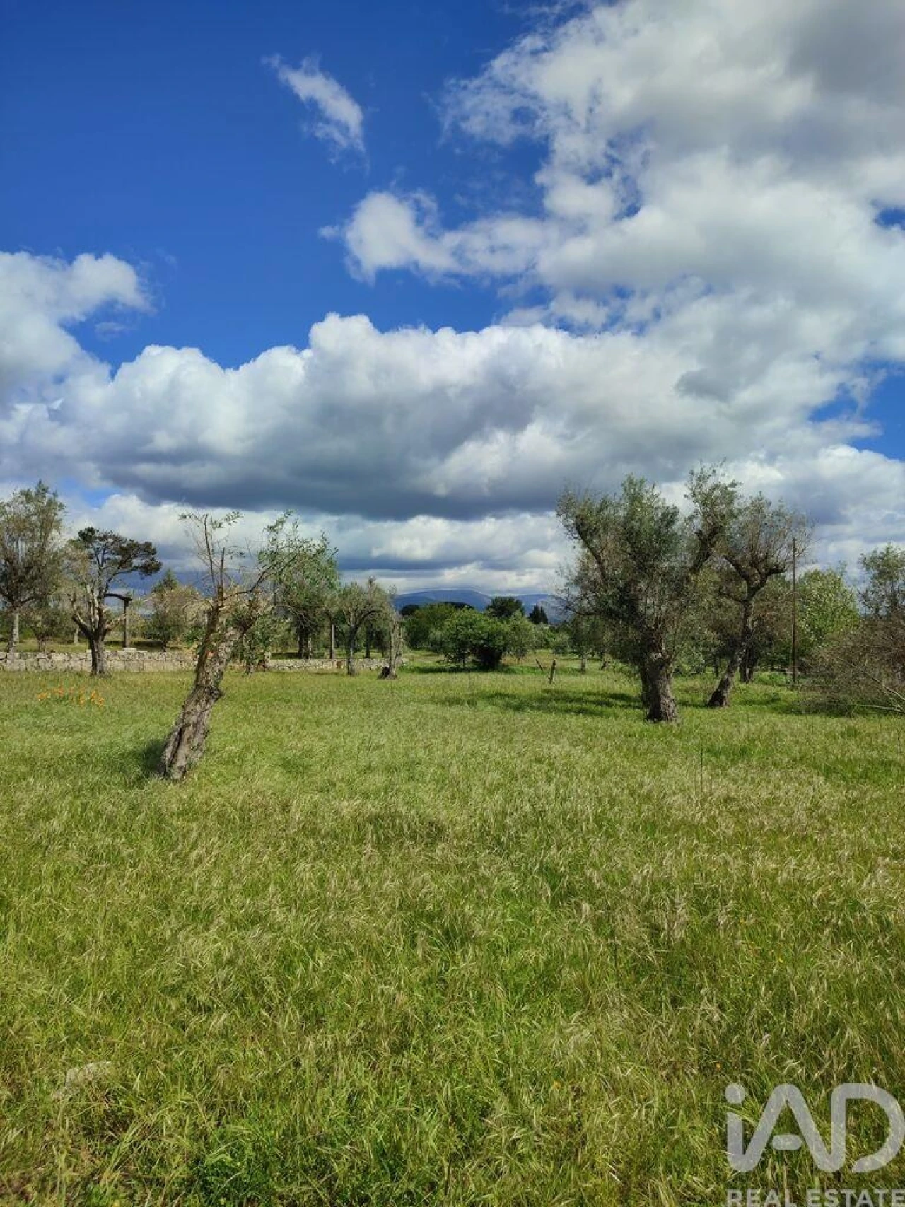 Moradia T3 para Venda em Lagares Foto 16