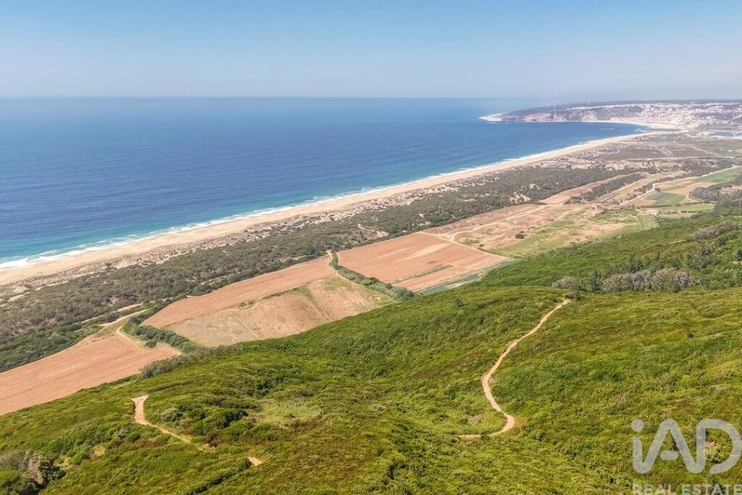 Terreno para Venda em Famalicão Foto 12