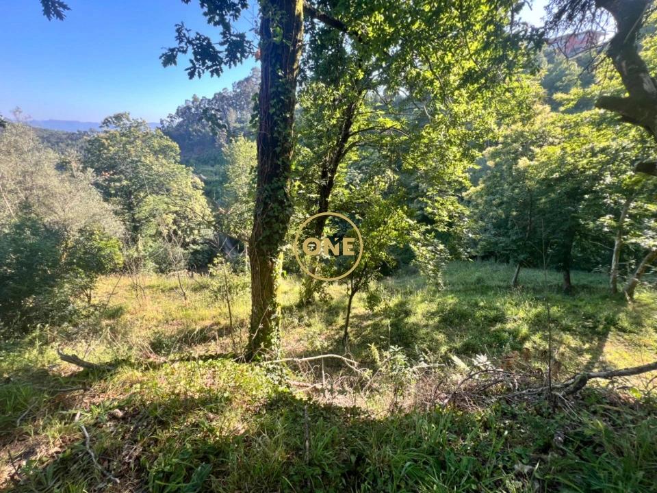 Terreno para Venda em Vilela, Seramil e Paredes Secas Foto 5