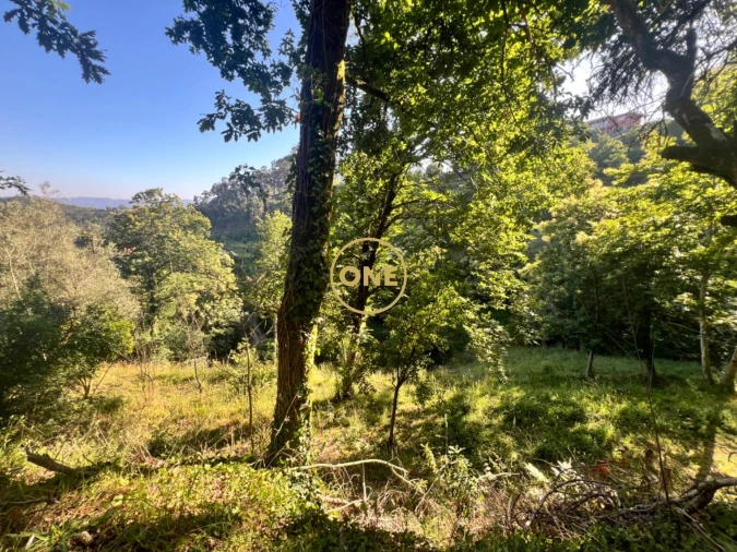 Terreno para Venda em Vilela, Seramil e Paredes Secas Foto 3