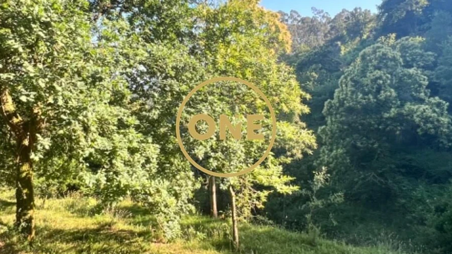 Terreno para Venda em Vilela, Seramil e Paredes Secas