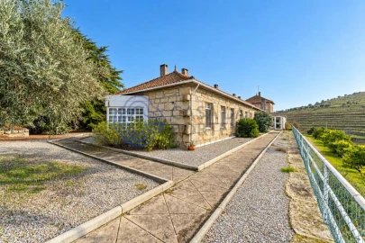 Quinta T9 para Venda em Santa Eugenia