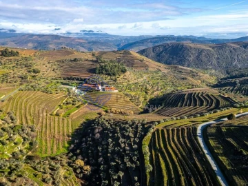 Quinta T9 para Venda em Santa Eugenia