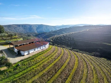 Quinta T9 para Venda em Santa Eugenia