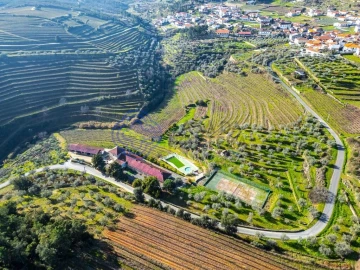 Quinta T9 para Venda em Santa Eugenia