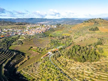 Quinta T9 para Venda em Santa Eugenia