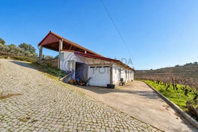 Quinta T9 para Venda em Santa Eugenia