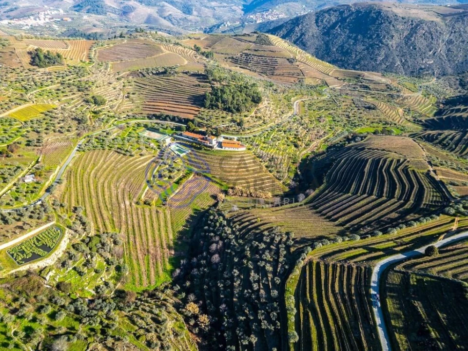 Quinta T9 para Venda em Santa Eugenia Foto 6