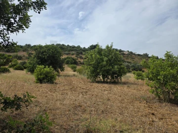 Terreno para Venda em Porches