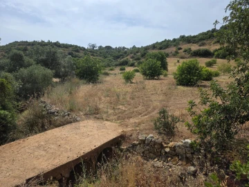 Terreno para Venda em Porches