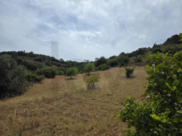 Terreno para Venda em Porches