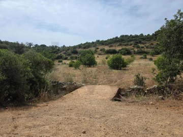 Terreno para Venda em Porches