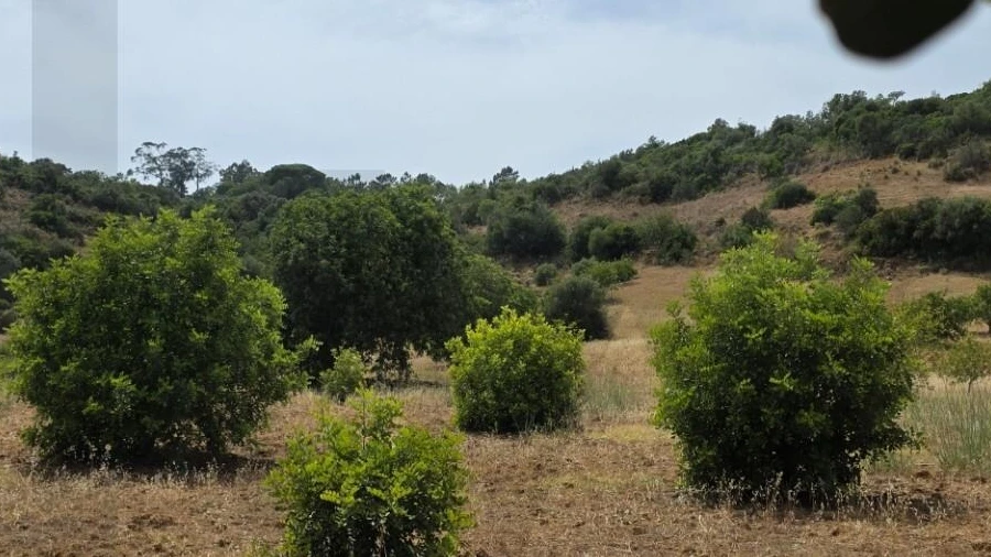 Terreno para Venda em Porches