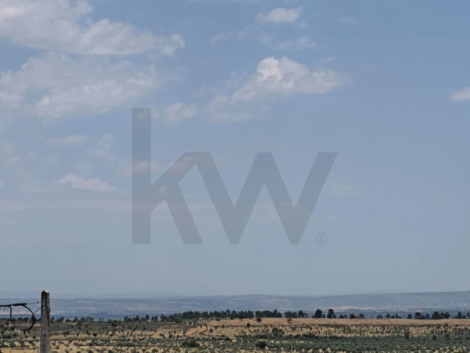 Moradia T7 para Venda em Monforte da Beira Foto 7