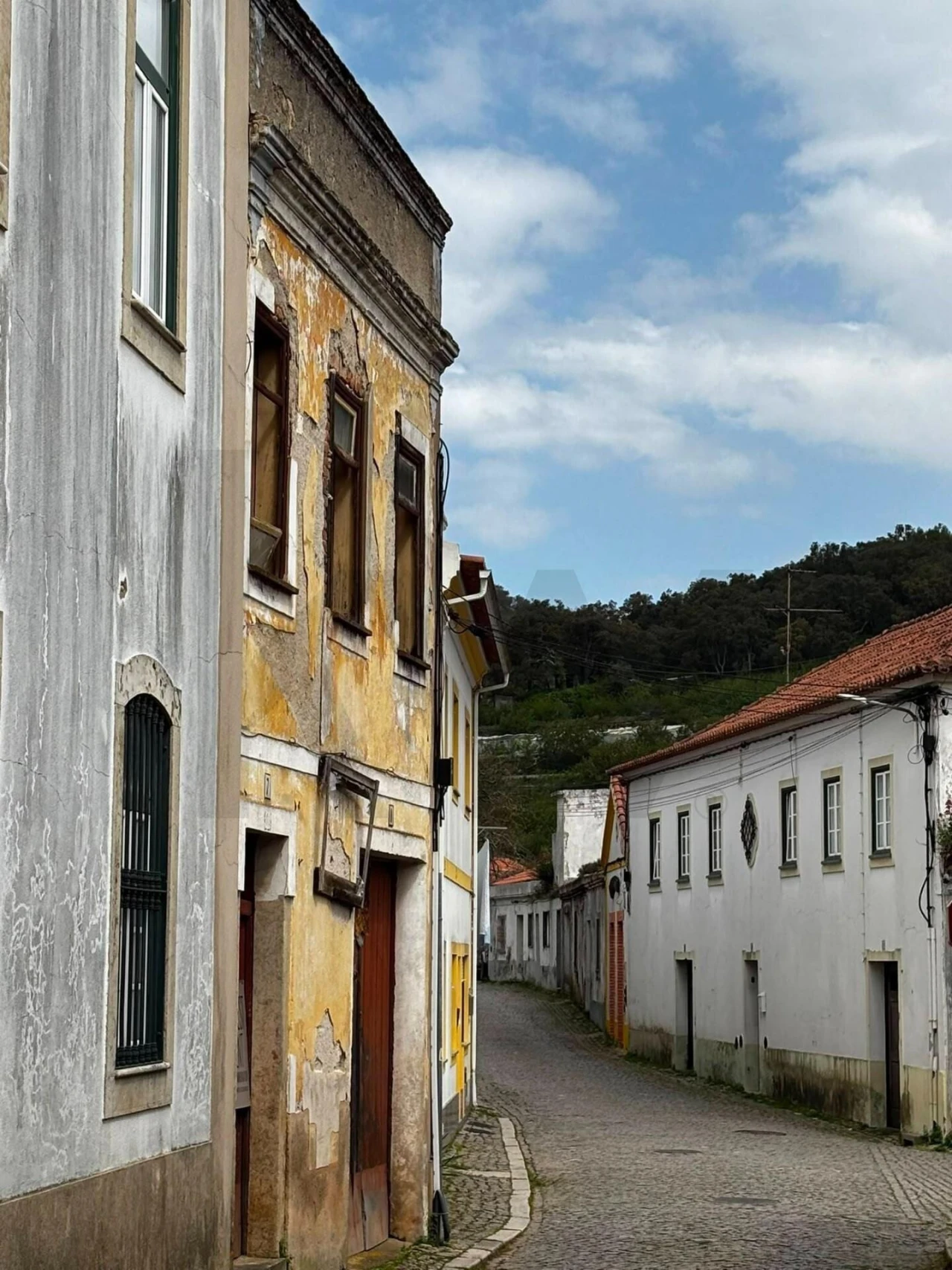 Prédio para Venda em Monchique Foto 5