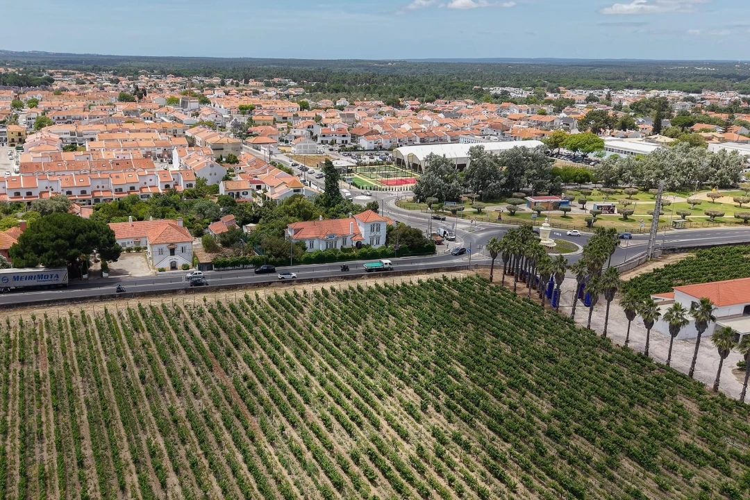 Moradia T9 para Venda em Azeitão (São Lourenço e São Simão) Foto 61
