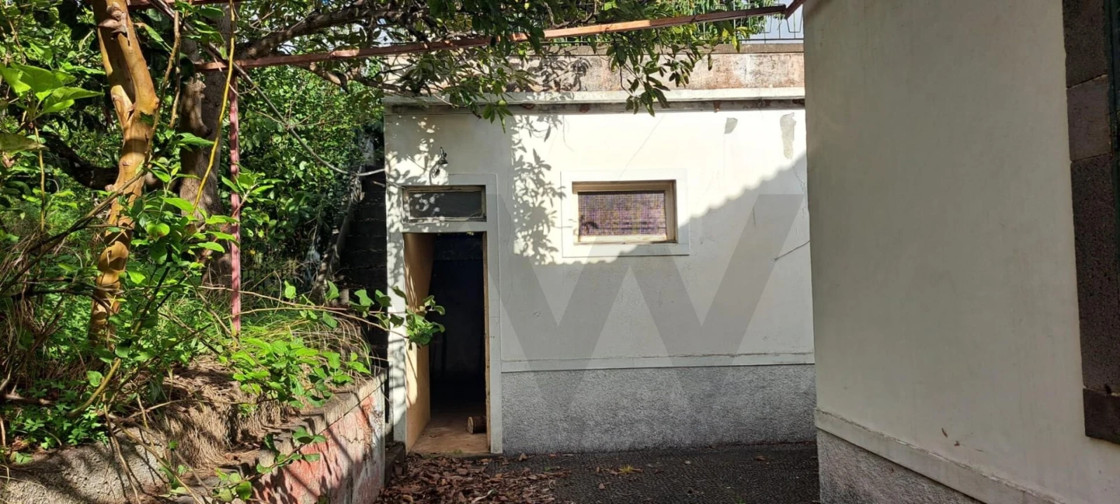 Prédio para Venda em Estreito de Camara de Lobos Foto 17