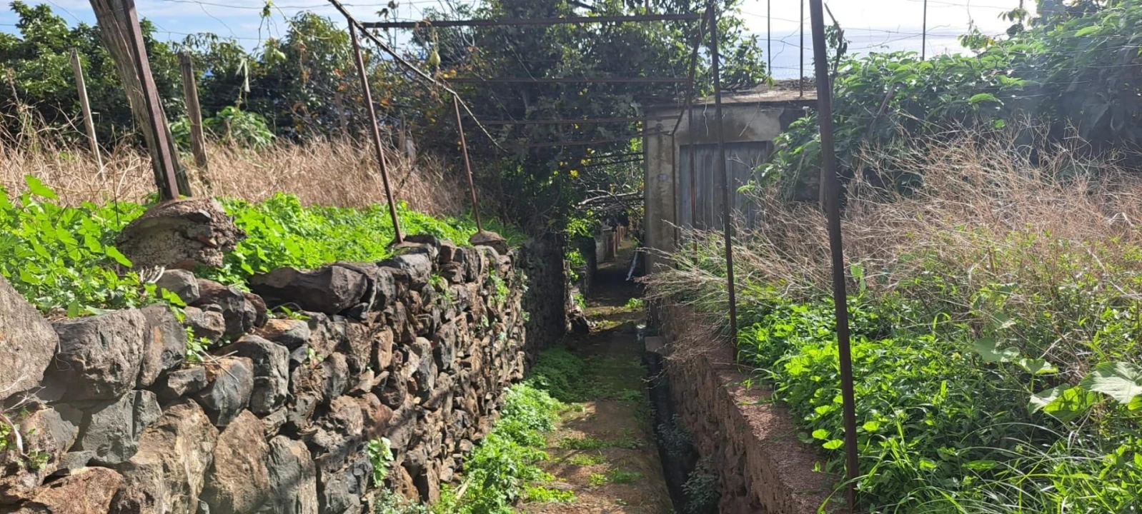 Prédio para Venda em Estreito de Camara de Lobos Foto 22