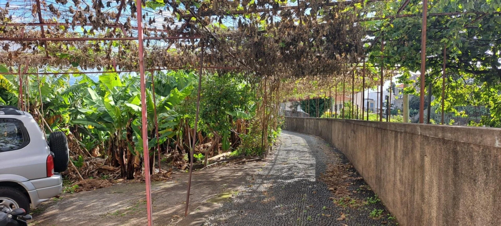 Prédio para Venda em Estreito de Camara de Lobos Foto 18