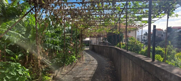 Prédio para Venda em Estreito de Camara de Lobos