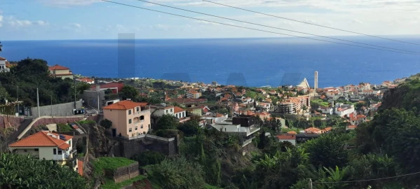 Prédio para Venda em Estreito de Camara de Lobos