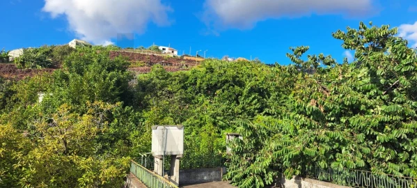 Prédio para Venda em Estreito de Camara de Lobos